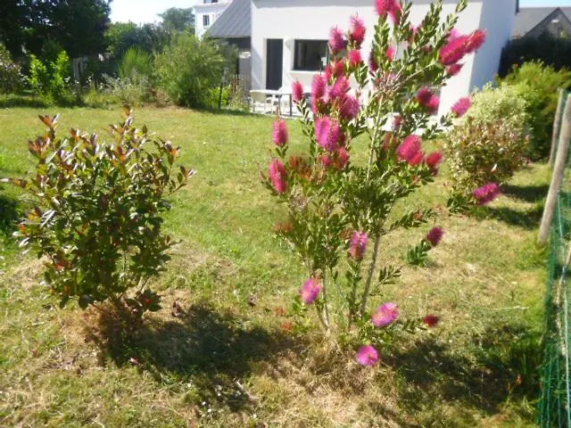 Les Aigrettes Villa Sarzeau Feriehus